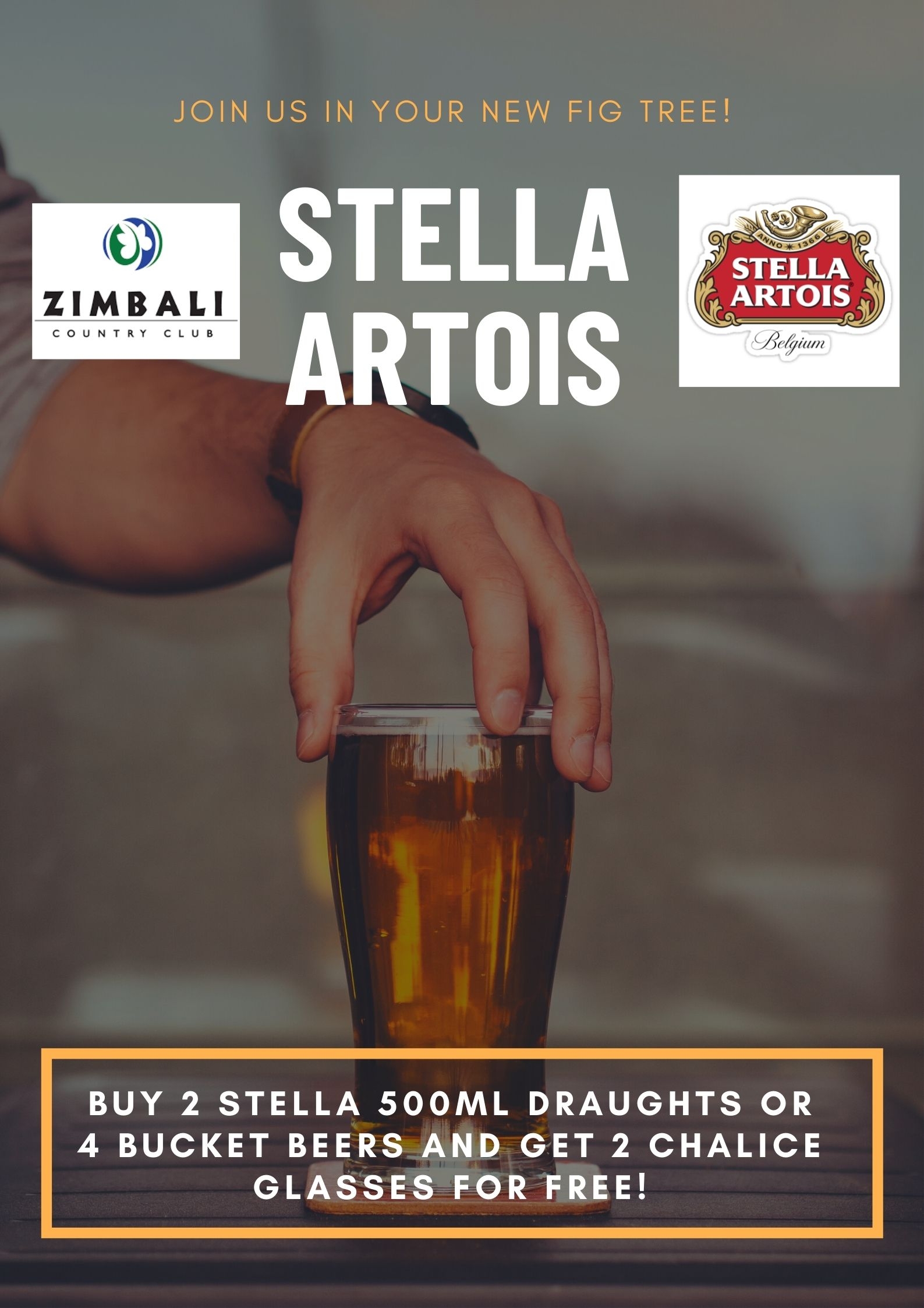 Stella Artois - Chalice Beer glass 500ml - Set of 6